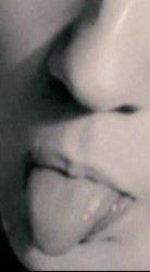 lillily