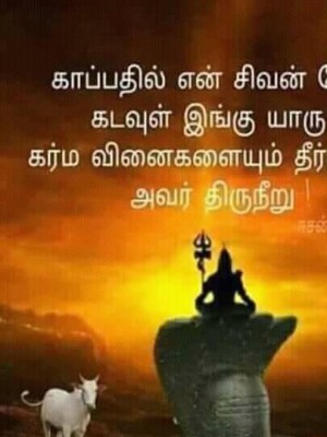 lingasasi
