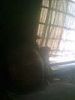 lucckky
