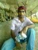 magale