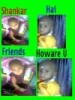 mallsiva