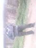 maurice2