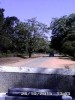 mawelela