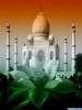 md.javed7860012100