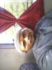 mirzaomer