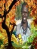 monydemangar