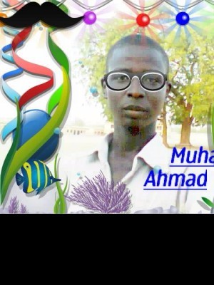 muhammadahmad1998199