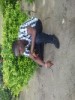 ogidee