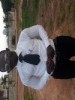princehenry