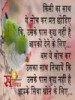 raj13391