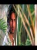 rajatpawar