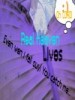 realheaven