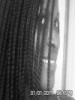 reginajose