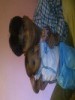 rehanali