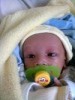 royel