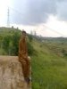 sabil061