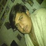 safi334