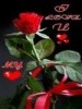 sahid97