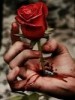 samir127