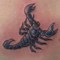 scorpion