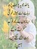 shahhkha