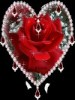 shahzad.ahmed