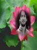 sheikhheena