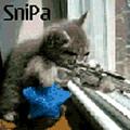 snipax