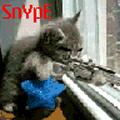 snype