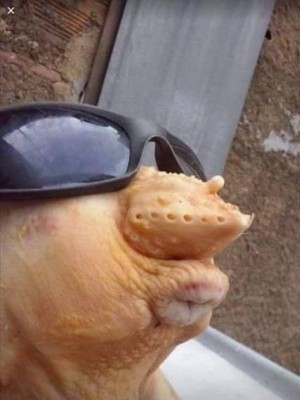 sssssshhhh