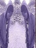 stancybronxy