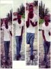starzzyp