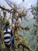 suresh3422
