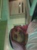 swahib