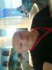 terry46