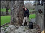 treeman7