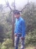 uali