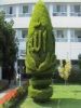 uzair569