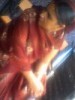 vadji725