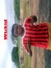 wizfran