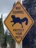 xsquirrelx