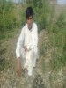 zainullah