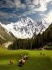 zkhan