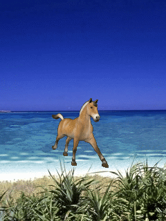 running horse GIF - Download & Share on PHONEKY