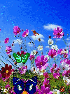 Bella primavera GIF - Scarica & Condividi su PHONEKY