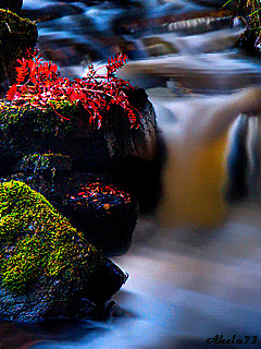 beautiful river GIF - Download & Share on PHONEKY