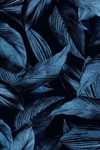 Midnight Tropics 🌿✨