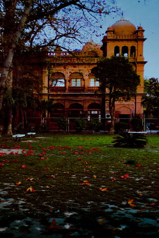 The Timeless Charm of Punjab University 🌳🏛️
