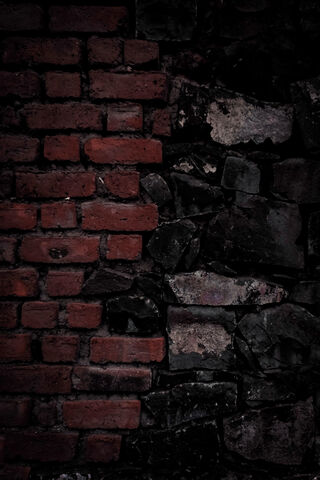 Contrast in Chaos: A Visual Journey