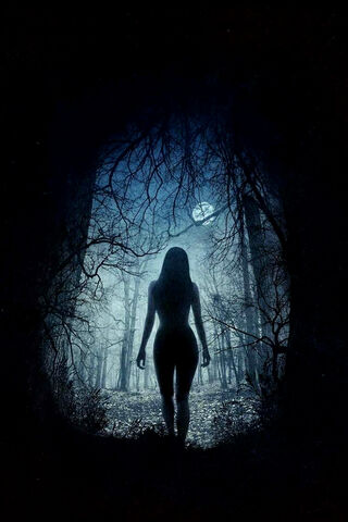 Whispers of the Night 🌙🌲